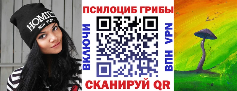 сколько стоит  ссылка на мегу как войти  Галлюциногенные грибы Psilocybe  Находка 