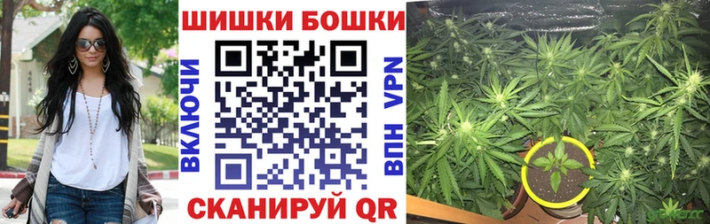 магазин    Находка  Бошки Шишки VHQ 